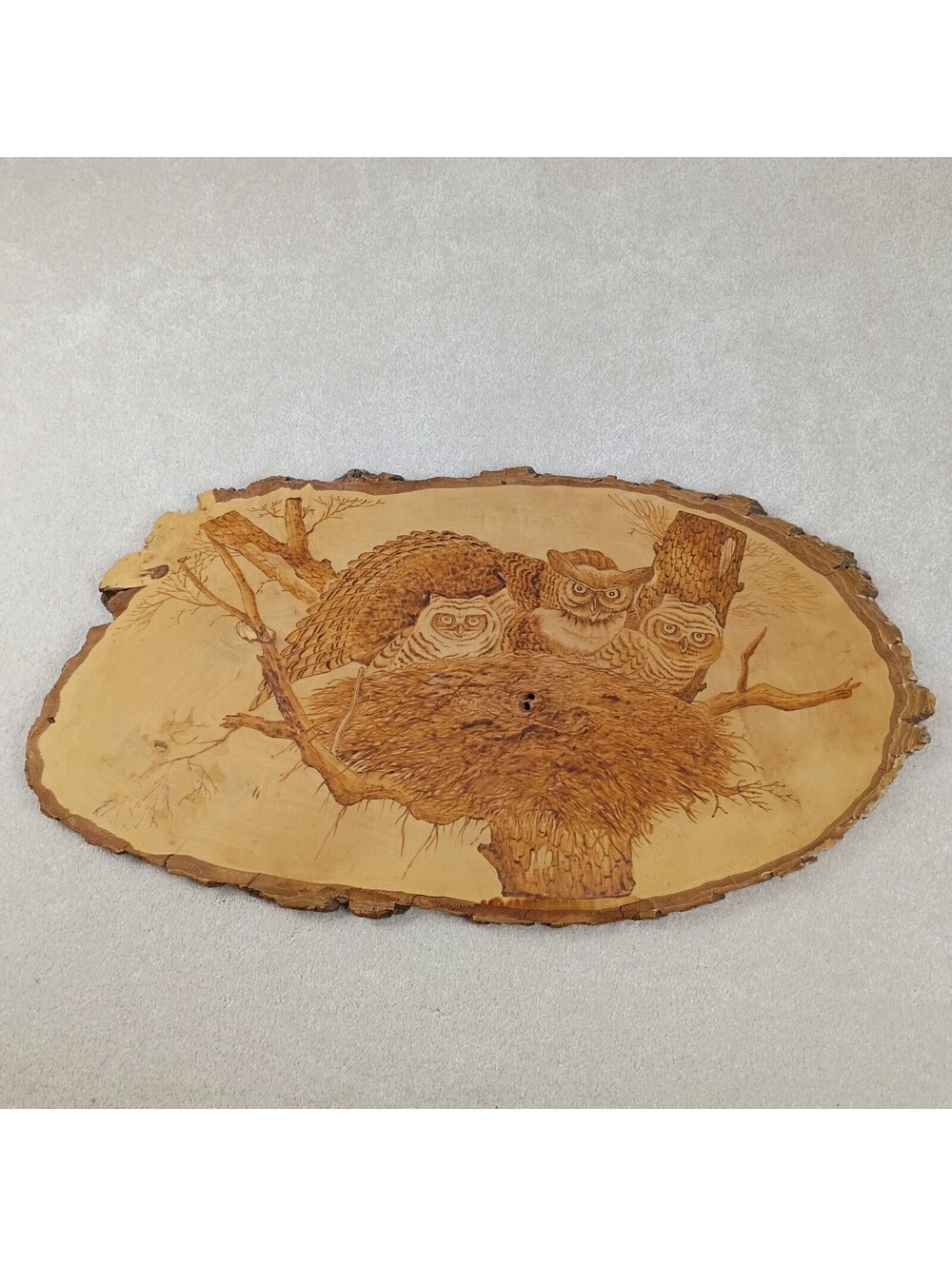 Large Vintage Owl Pyrography Burned Live Edge Wood Slab Wall Hanging Cabin Lodge